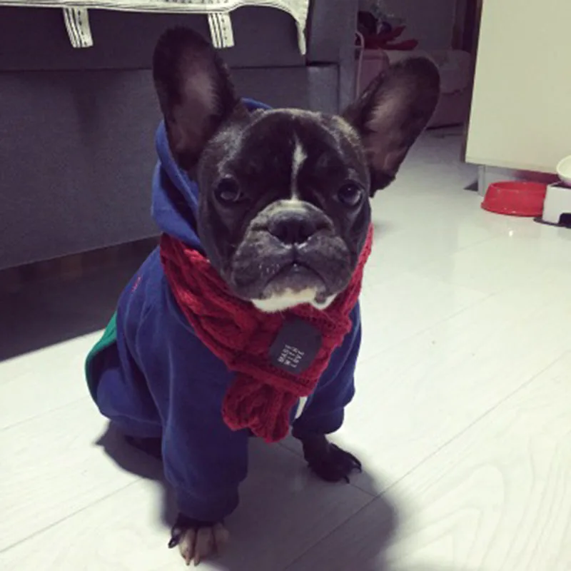 Зимняя теплая толстовка для собак одежда пальто куртка хлопок Ropa Perro французская