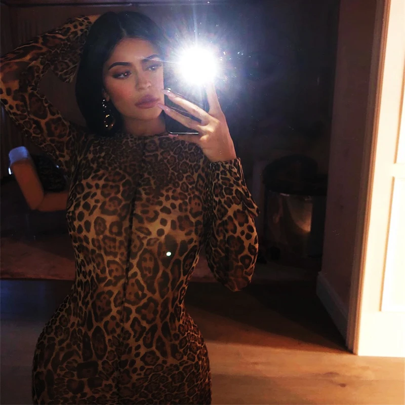 

Women Sheer Leopard Print Jumpsuits Rompers Body Feminino Summer Perspective Long Sleeve Outfits Clubwear Party Overalls Femme