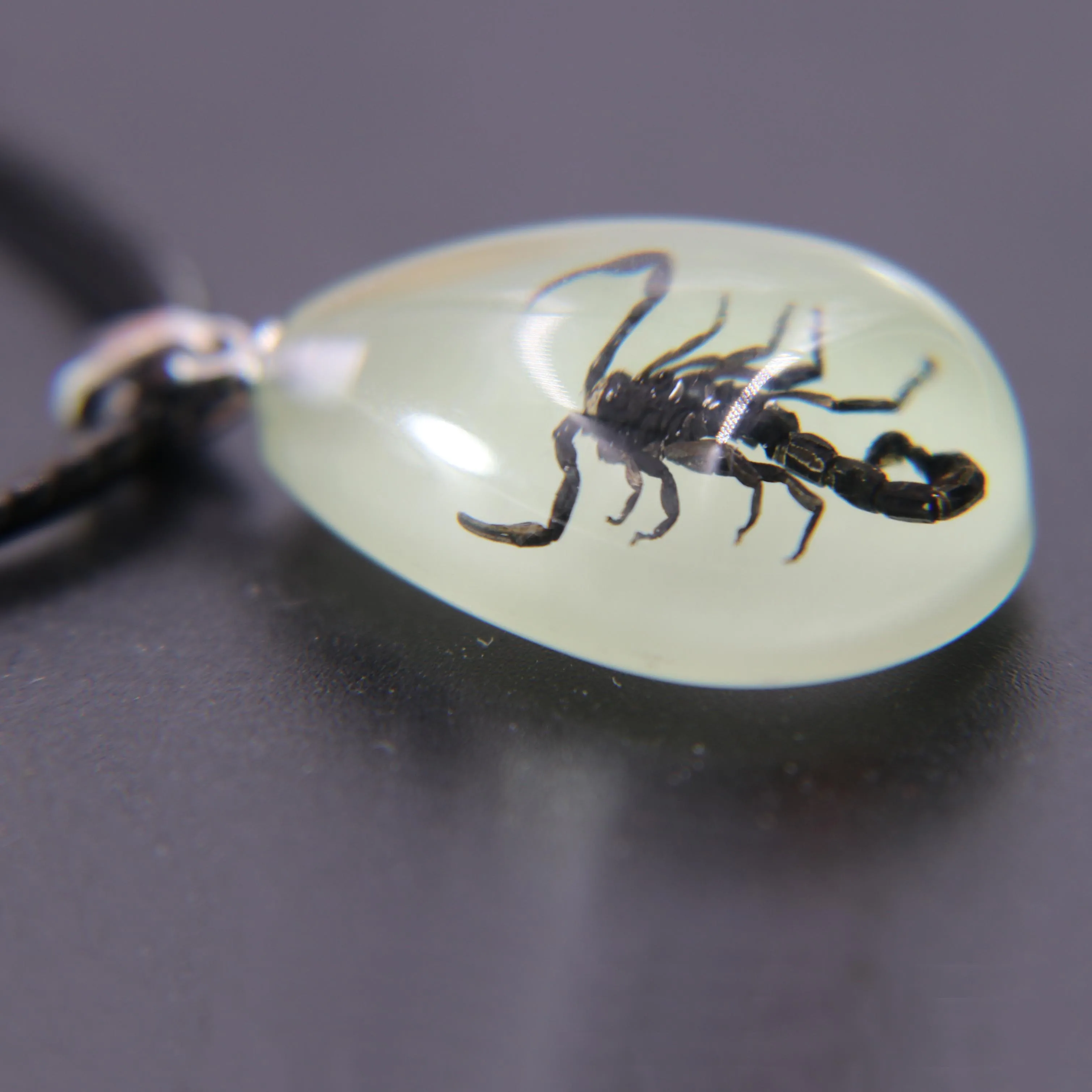 Men's Scorpion Necklace Fancy Luminous Amber Insect Rope Necklace Jewelry