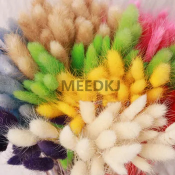 

30pcs Garden Rabbit Tail Grass Preserved Fresh Flower Natural Dried Flowers Bouquet Wedding Home Decoration