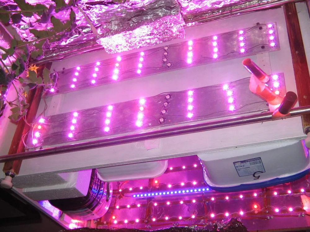 UT8l8SRXqFXXXagOFbX5