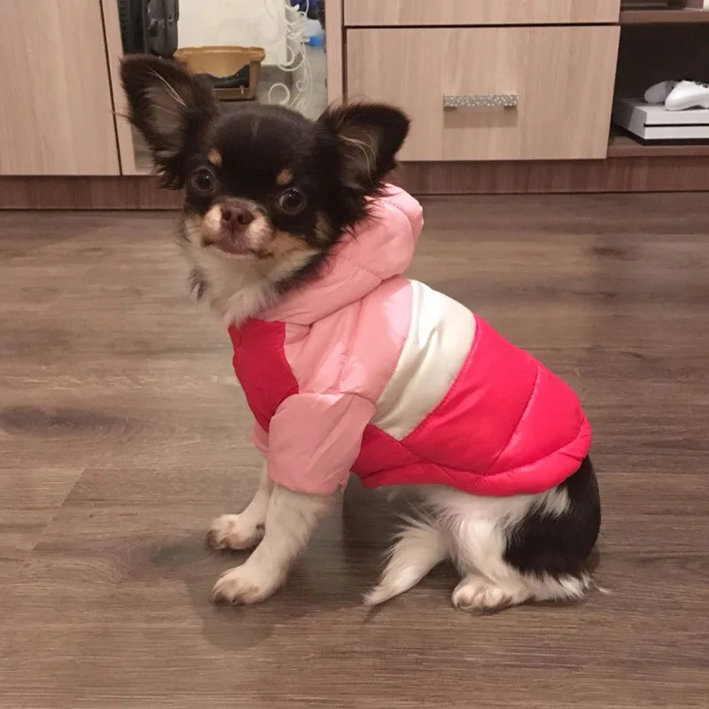 Pet Dog Jacket Coat Autumn Winter Clothes For Dogs Cotton-padded Warm 2-legged Hooded Coat Small Dogs Thickening Jacket