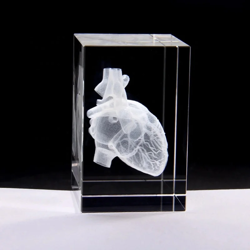 Анатомическая модель сердца Дизайн Куб Кристалл 3D лазерная гравировка с детальной видимой системой крови для больничных сувениров