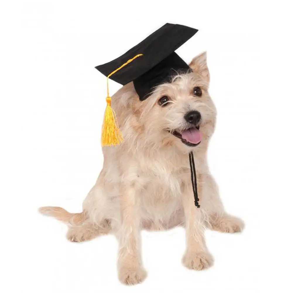 Pet Dog Cap Puppy Dr. Hat Customized Graduation Student Tassel Academic DIY Creative Party Accessories | Дом и сад