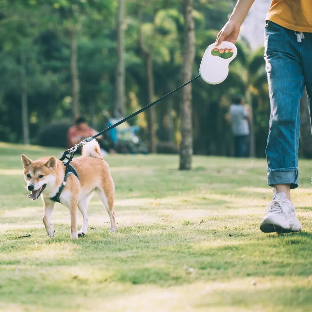 Xiaomi Pet Телескопический тяговый трос гибкий замок безопасности автоматический разматывающийся прочный Xiomi трек веревка для домашних животных 5 м