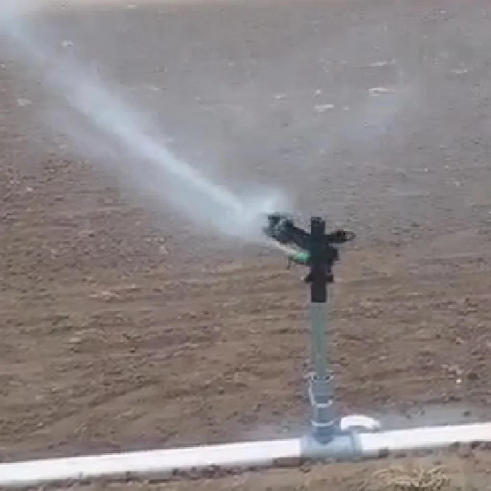 QQ图片20201010201148