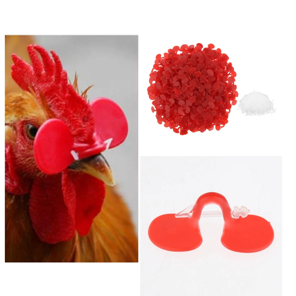 500pcs Anti-Pecking Eye Glasses Blinders Spectacles for Chicken Rooster Hen