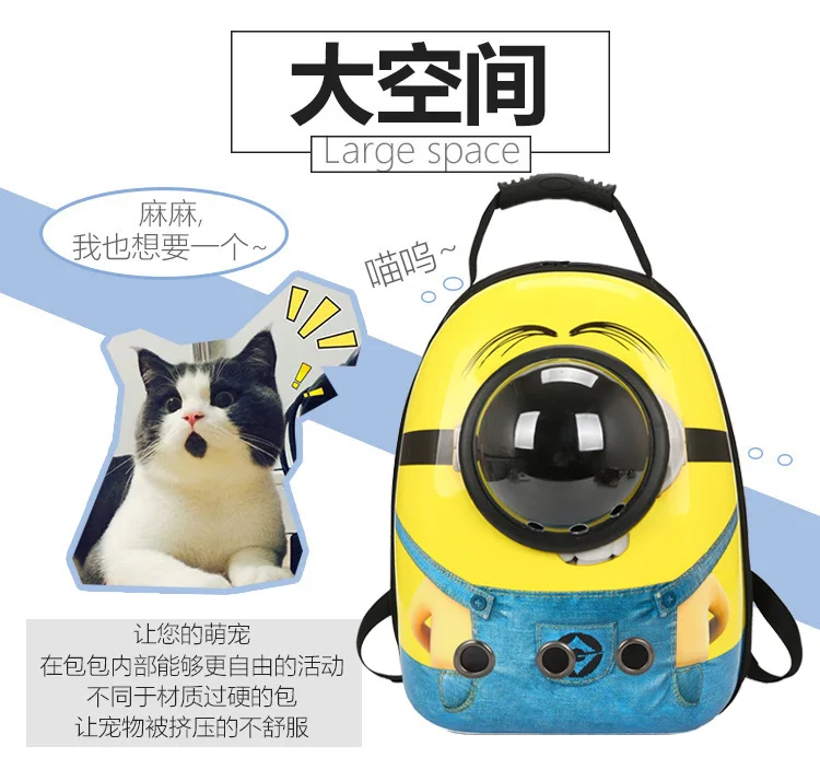 10629106066_345777210