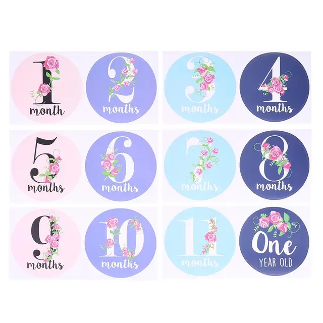 Baby Pregnant Women Monthly Photograph Sticker Fun Month Milestone ...