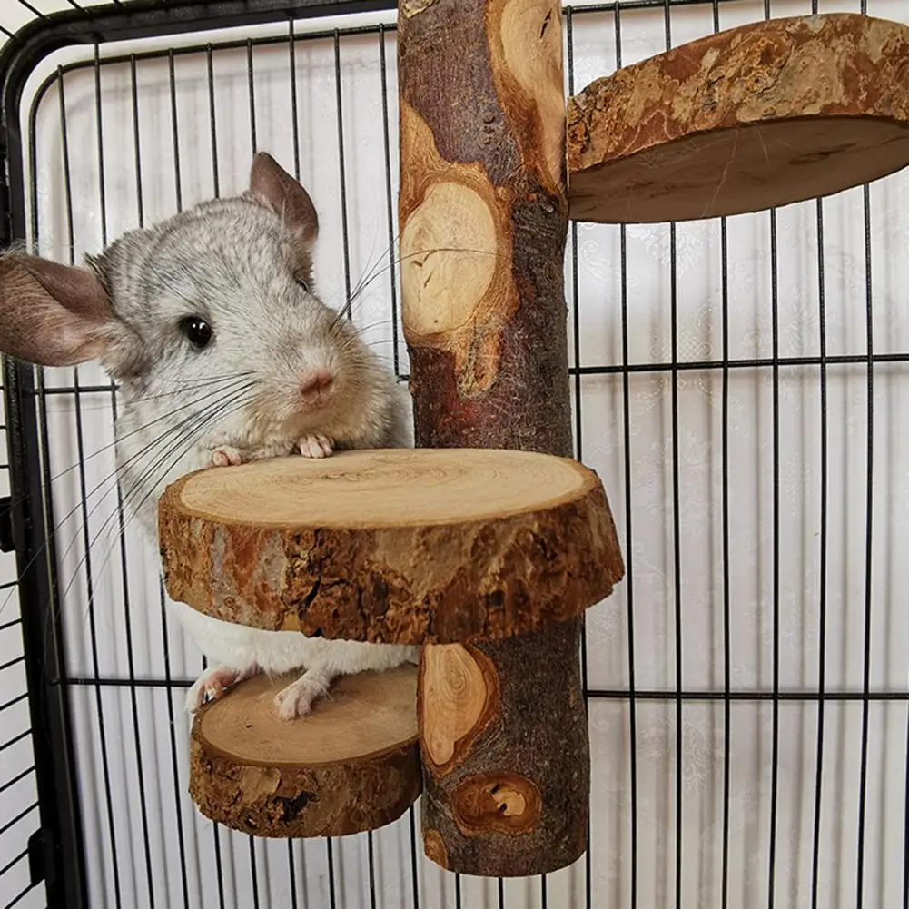 Chinchilla Climbing Platform 2