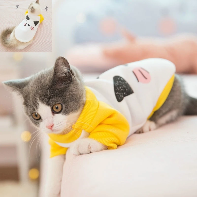 Pet Clothing Cat Clothes Cute Funny Cat Sweater Pet Cat Hoodies Cat Clothes  - Cat Hoodies - AliExpress