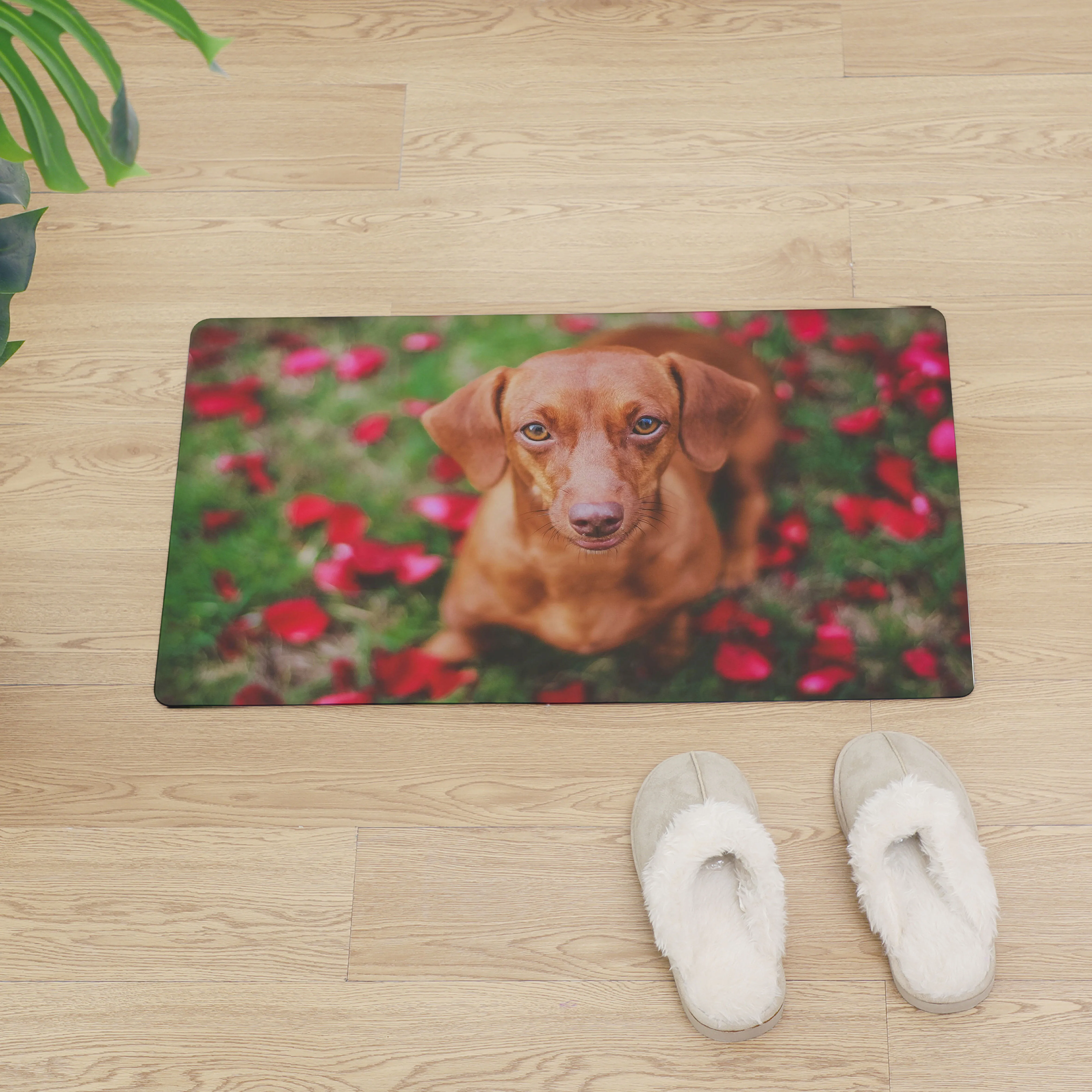 

German Dachshund Entrance Doormat Kitchen Mats For Floor Door Mats Non-slip Home Mat PVC Soft Entrance Floor Mat Carpets