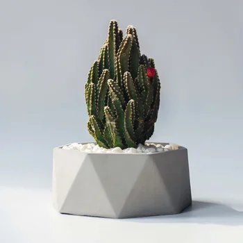 

Silicone Molds for Concrete Container Creative Planter Pot Molds concrete casting molds Jewelry Dish Molds