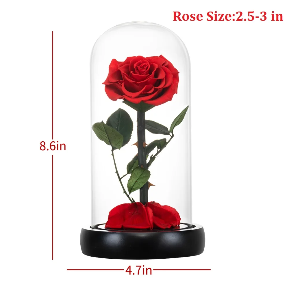 Rosa Eterna In Barattolo Con Luci LED - Regalo Romantico Per Fidanzata O Mamma