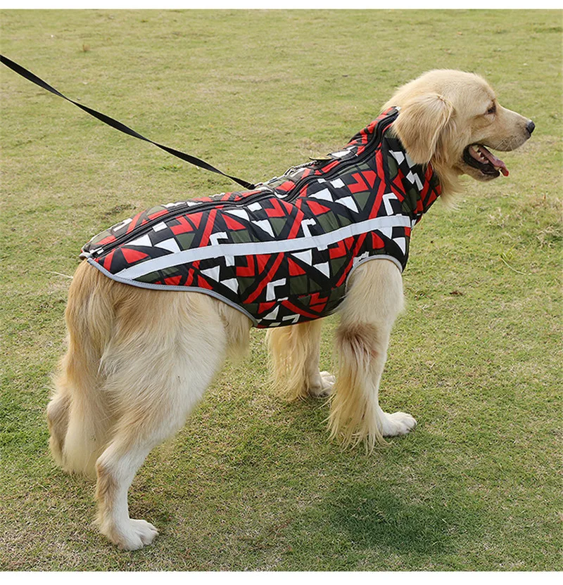 clothes for dogs (18)