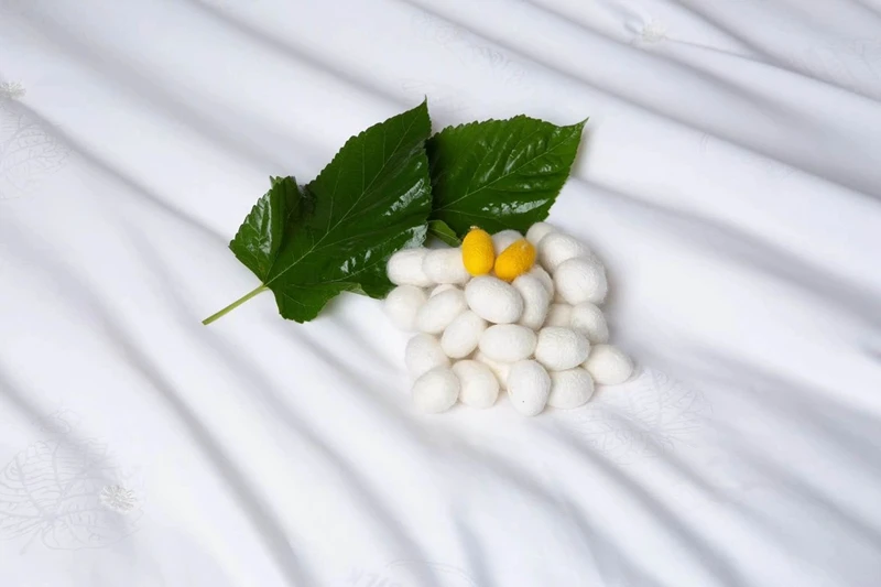 IMG_2564(20200906-122951)