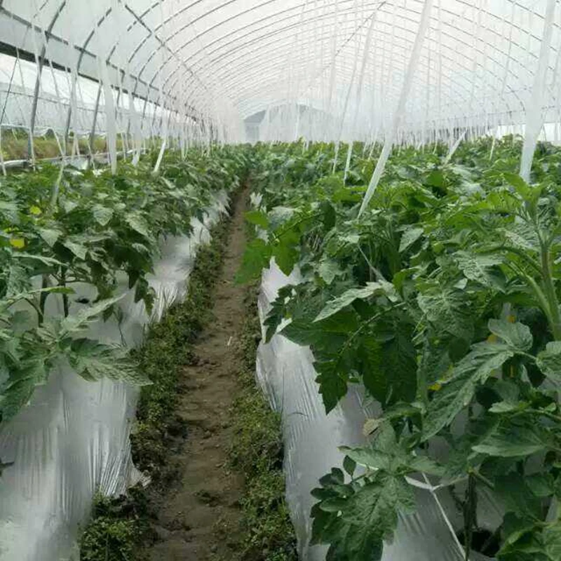 40 м~ 5 м 0,012 мм сельскохозяйственная серебристо-черная светоотражающая пленка садовый тройник для посадки пластиковой мульчи пленка для теплицы уход за овощами крышка