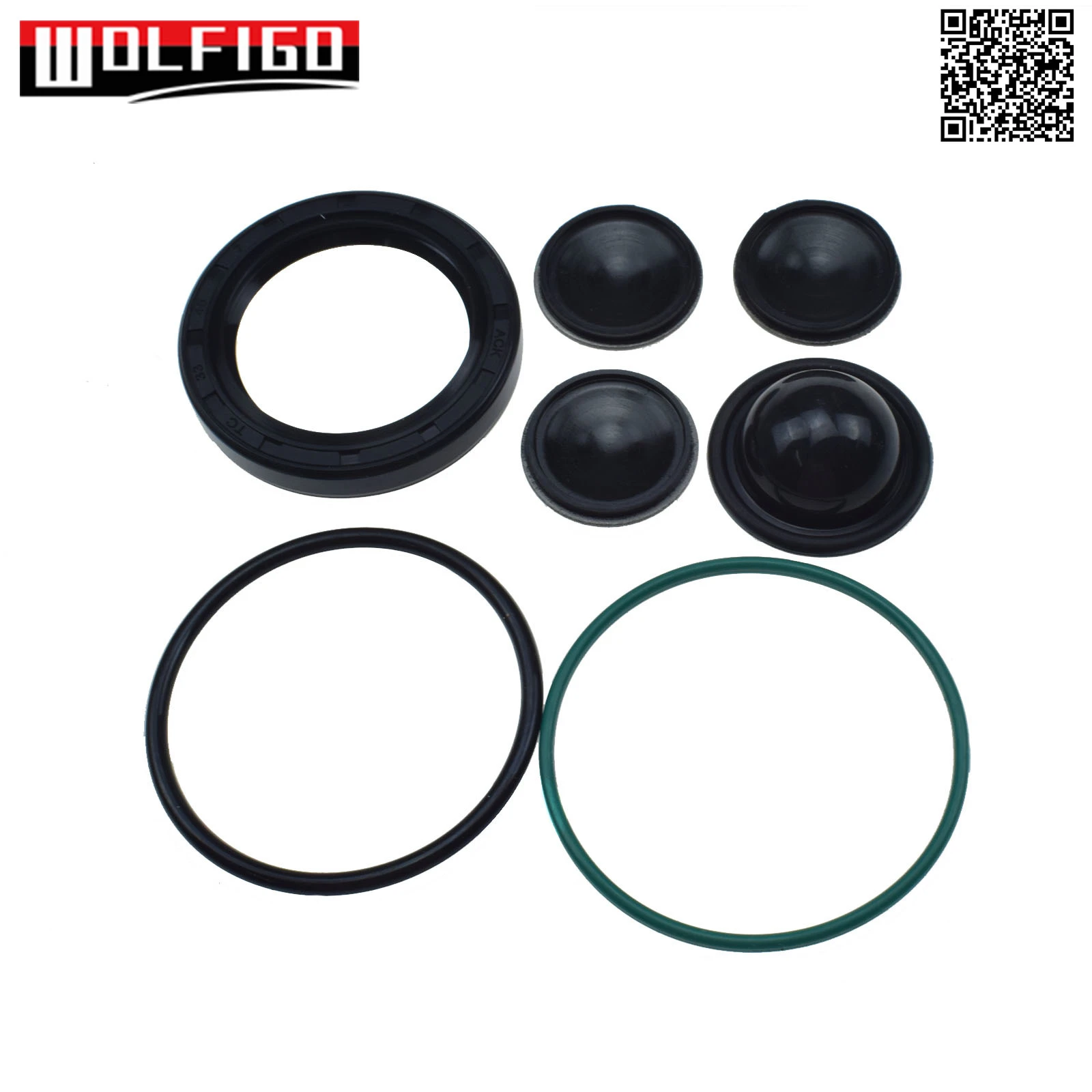 Fuel Injection Pump Repair Kit GM Opel z22yh 2.2 and Peugeot Citroen 2.