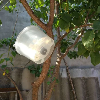 

Bee Tools Hornet Trapper Fly Bug Catching Traps Wasp Catcher Hanging On Tree Insectary Box Bees and Beekeeping Equipment