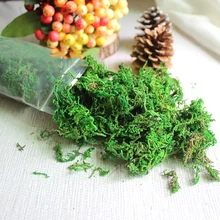 

High Quality Artificial Moss Lichen Simulation Green Plants Fake Flowers Moss Micro Landscape Home Garden Decor 20g/50g/100g