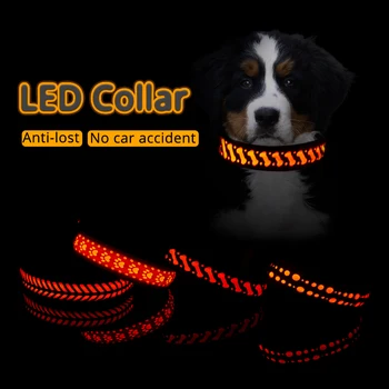 Luminous Flashing Night Time Walking Pup Collar " Pets Alpha Says, " Safety First! "   1
