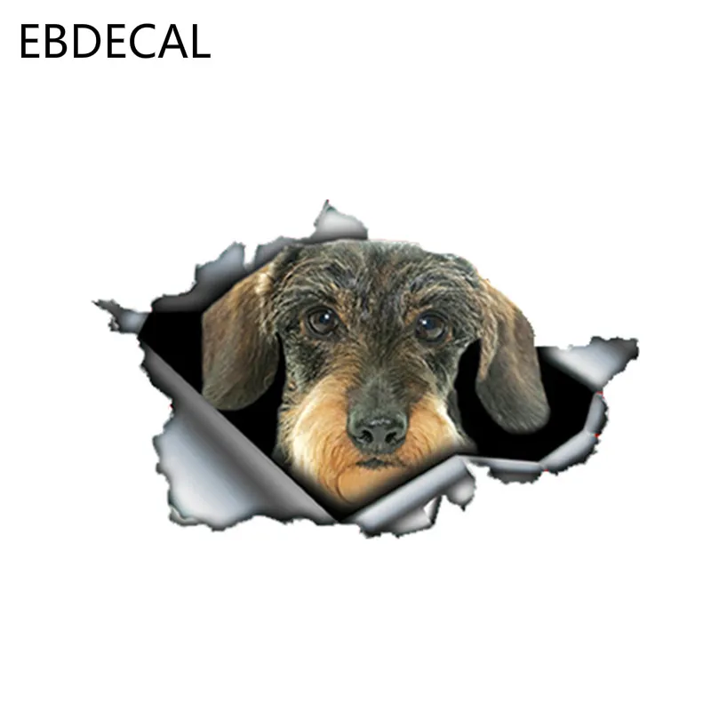 EBdecal Wire Haired Dachshund For Auto Car/Bumper/Window/Wall Decal Sticker Decals DIY Decor CT6237 | Автомобили и мотоциклы
