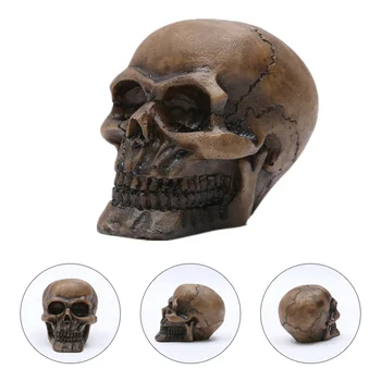 

1pc Skull Ornament Resin Skull Decorative Skull Model Tabletop Ornament Skull