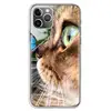Mobile Phone Accessories
