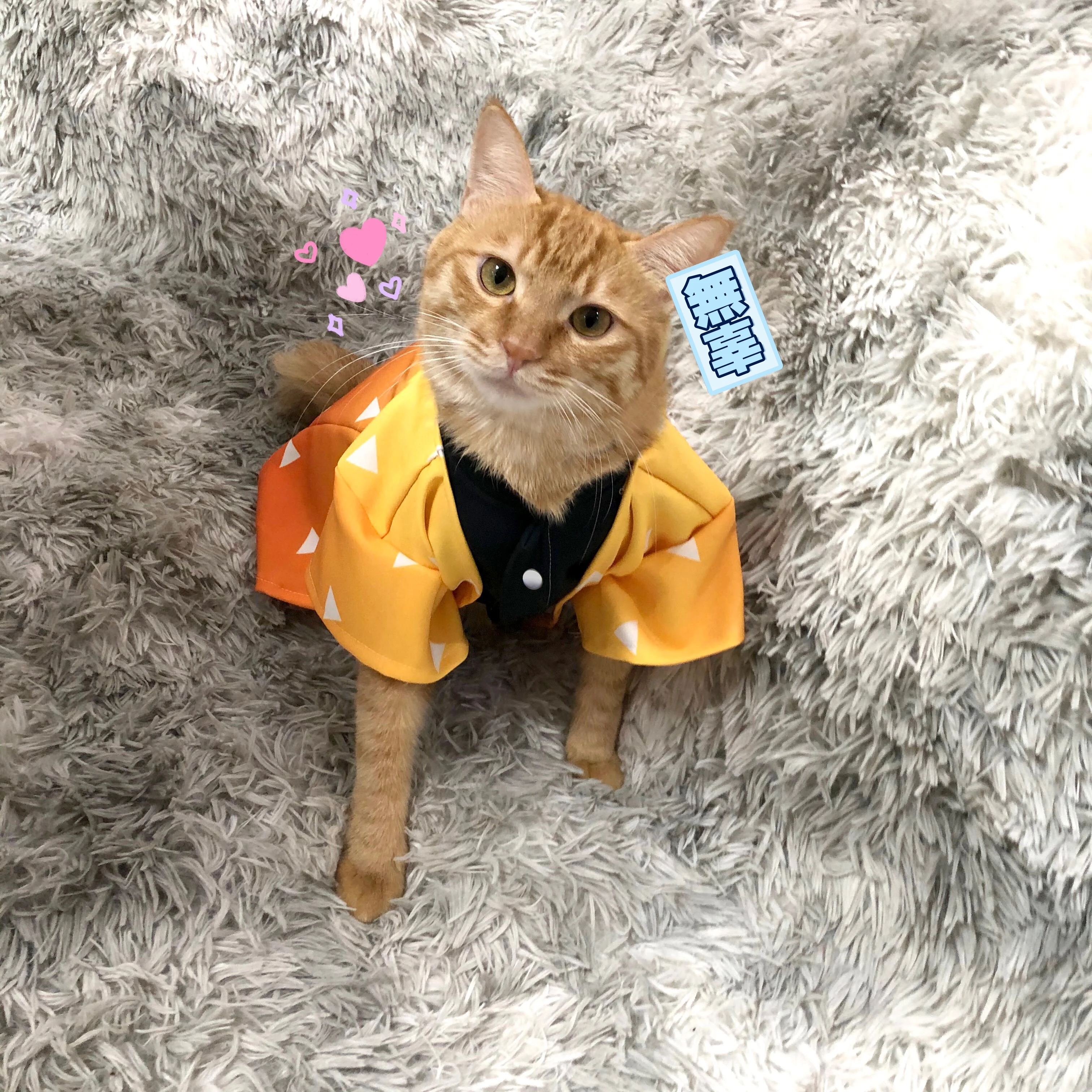 Костюм-накидка для косплея «Demon Slayer Kimetsu No Yaiba Cats Kamado Tanjirou Nuzuko Tomioka Giyuu Kochou Shinobu Agatsuma Zenitsu»