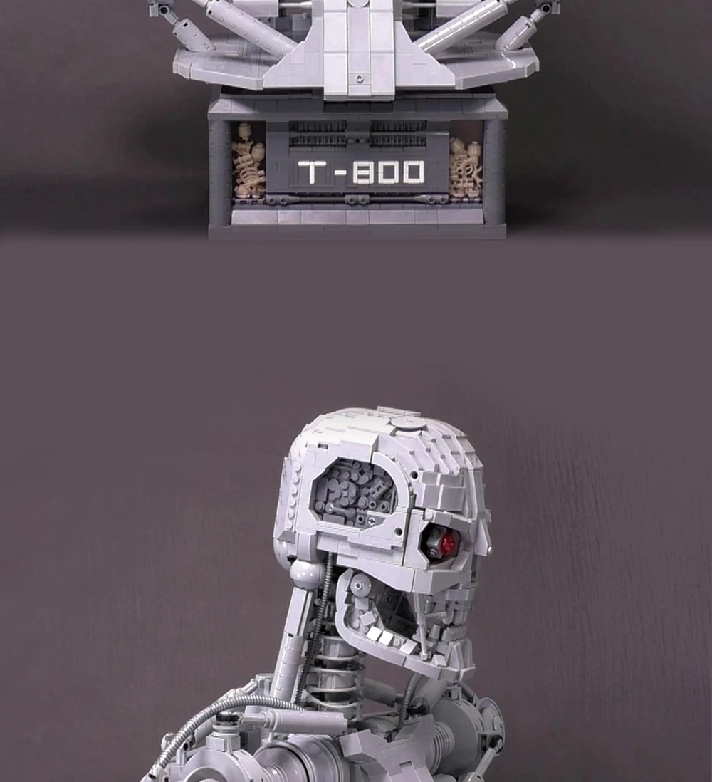 Terminator T-800 Schwarzenegger  (3)