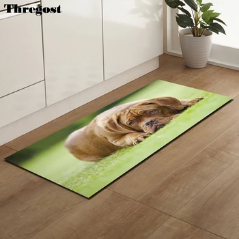 

Thregost Indoor Floor Mats 3D Animal Printed Bedroom Living Room Rugs Anti-Slip Washable Pet Mat Absorbent Doormat Shower Carpet