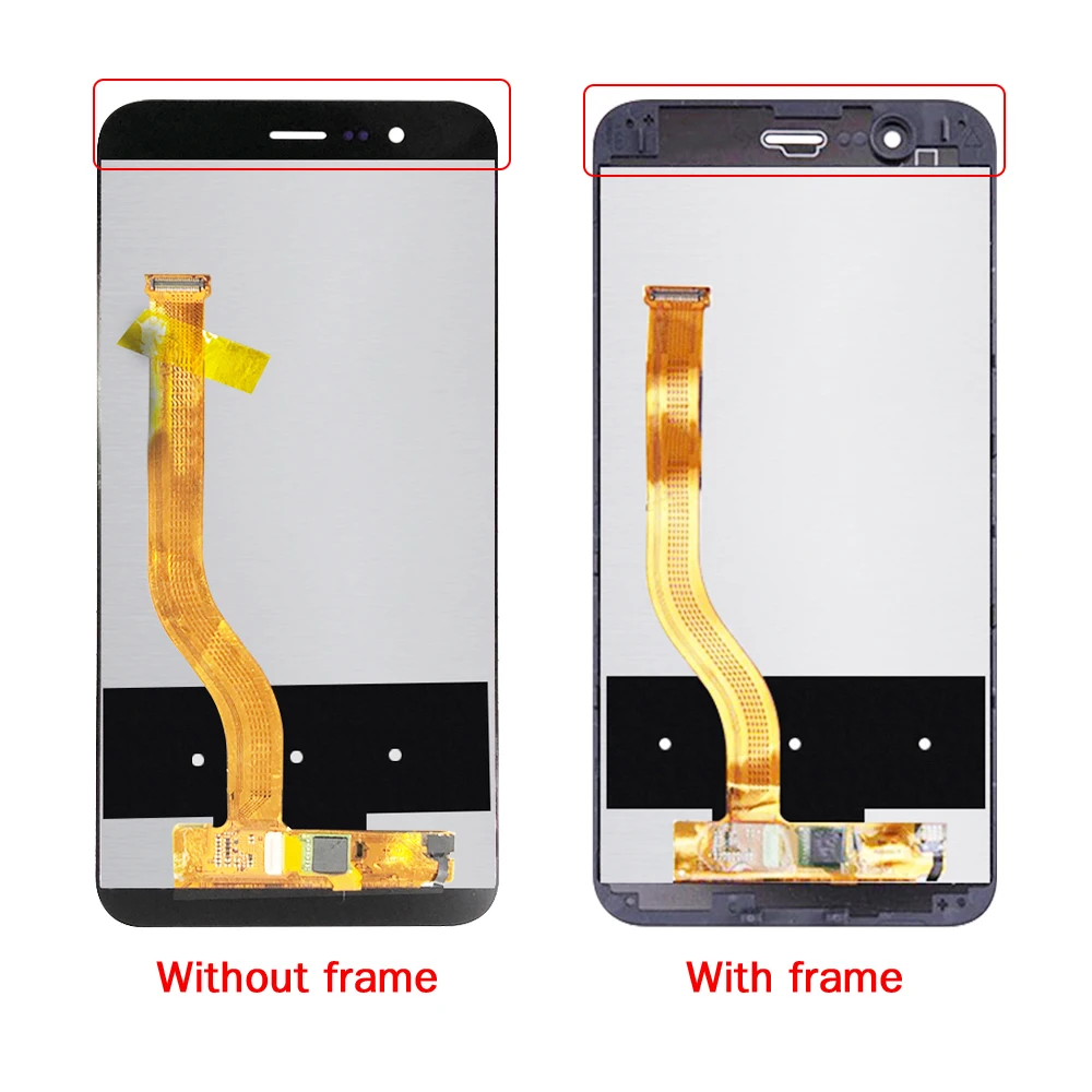 HTB1pHYZQMHqK1RjSZJnq6zNLpXal