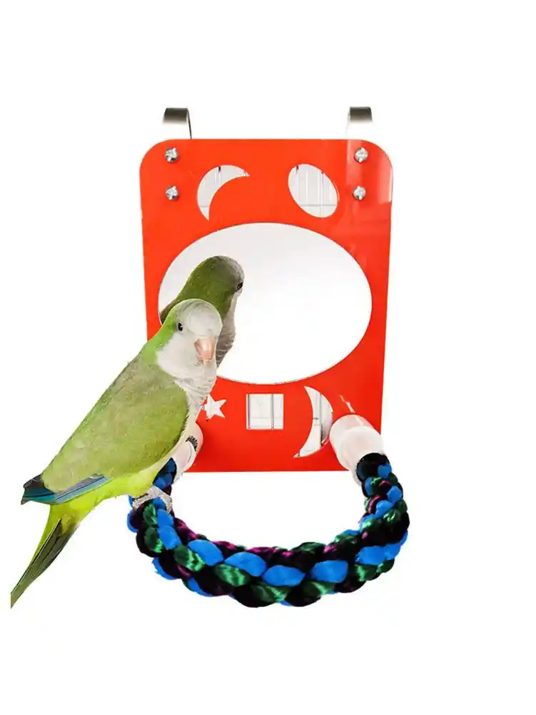 bird swing with mirror