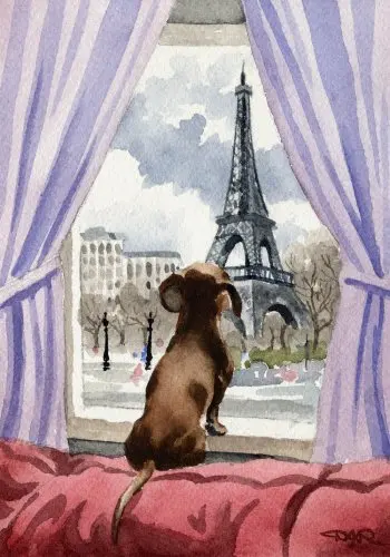 

Dachshund in Paris Art Print by Watercolor Artist DJ Rogers