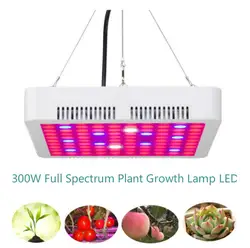 AMKOY 300 Вт Светодиодный светильник для выращивания растений, полный спектр, лампа для выращивания растений в помещении, для выращивания