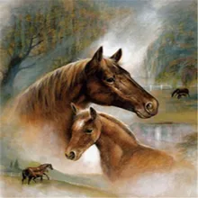 Cuadrado/redondo DIY pintura de diamantes punto de cruz bordado de diamantes con caballos mosaico Animal Diamante de imitación decoración del hogar M824(China)