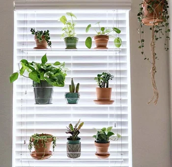 Clear Acrylic Wall Hanging Floating Window Plant Shelves 1