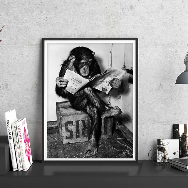 Quadros da lona na parede da família dos macacos engraçados orangotango  cartazes e impressões animais modernos quadros da arte da parede crianças  decoração do quarto - AliExpress