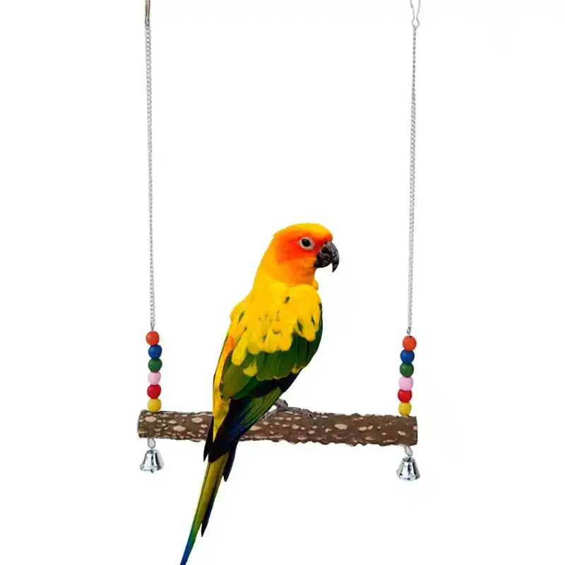 macaw stand