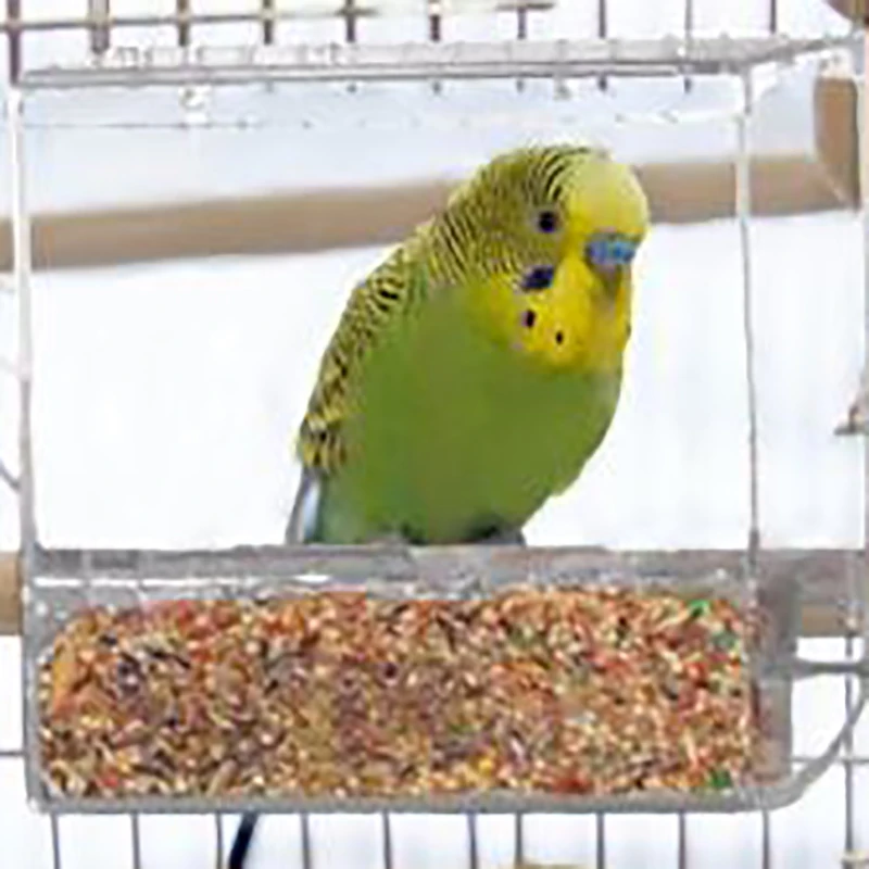 Seed No Mess Bird Feeder Parrot Toys Canary Cockatiel Finch Tidy