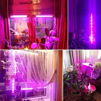 

LED Grow Light 6W Growth Premium Plant Grow Lamp Plant Grow Light 300LM Purple Greenhouse Bloom Indoor Flower Garden Vegetable