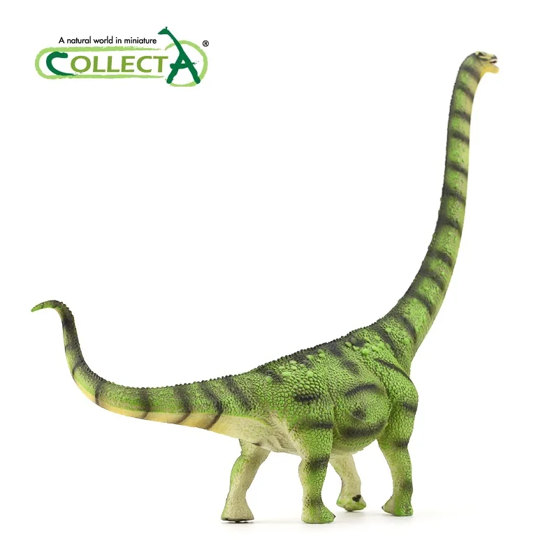 Figurine Stégosaurus Préhistoire Dinosaure 3388576 Collecta 