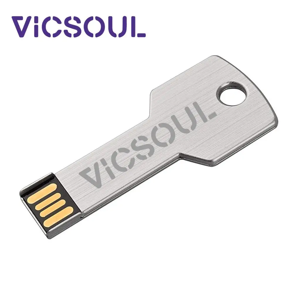VicSoul, USB флеш-накопитель, металлический ключ, USB накопитель, карта памяти, флешка, 16 ГБ, 32 ГБ, 64 ГБ, 128 ГБ, флешка, USB 2,0, серебристый