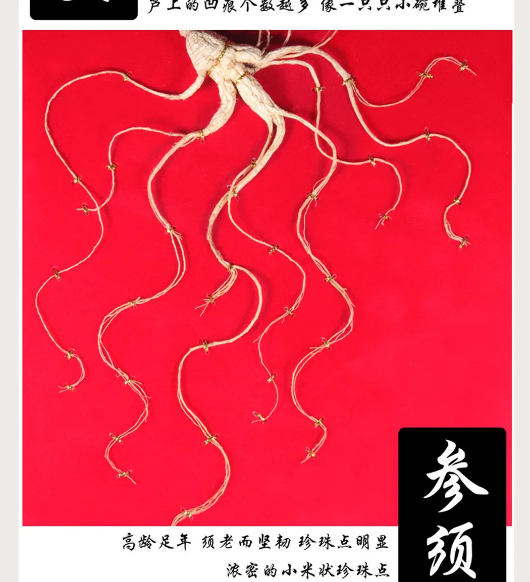 木盒人参_08.jpg