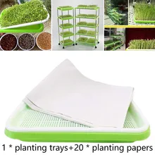 Microgreens Tray Hydroponic Tray Cultivation Tray Nursery Tray 10PCS Paper