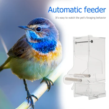 

Parrot Automatic Transparent Feeder Bird Feeders Anti-spray Splash-proof Food Container Dispenser Feeding Device Pet Supplies