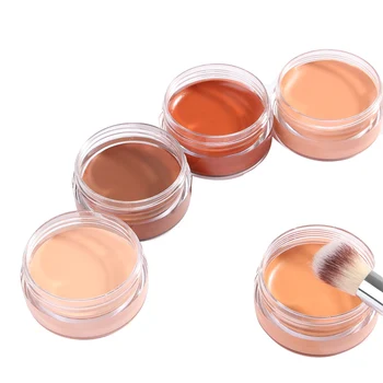 Pelle naturale macchia copertura completa correttore cremoso trucco viso labbra fondotinta viso correttore crema trucco strumento di bellezza