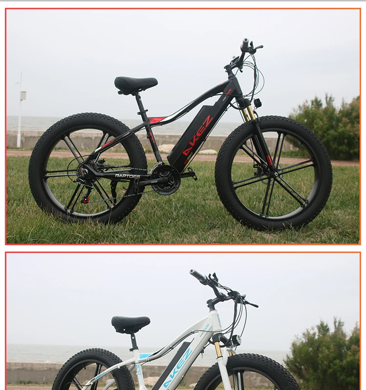 electric Bicycle 750 W 26 Inch 4.0 Fat Tire Snow Mountain Bike Lithium Battery Aluminum Alloy Ebike 350 W Adult