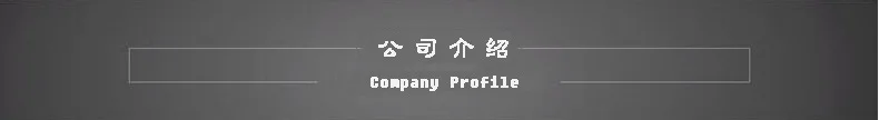 Company introduction 