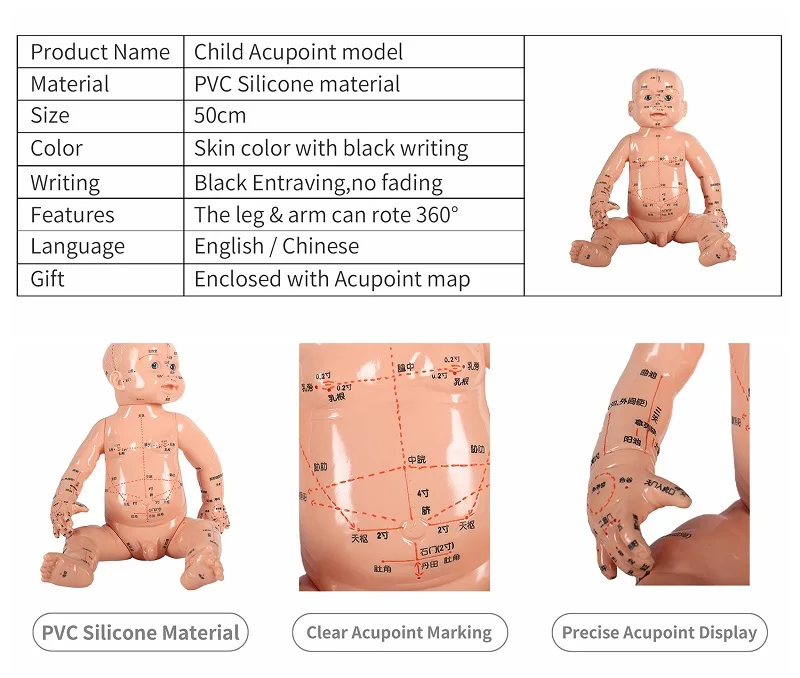 Child-Acupuncture-Model-Acupoint-Model-50cm-Height-PVC-Silicone-Material-360&deg;- Arm or Leg-Roatation-Child-Massage-Study